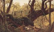 Frederic E.Church, Rain Forest,jamaica,West Indies